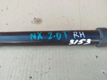 Амортизатор двери багажника Lexus NX AYZ10L AYZ15L ZGZ10L ZGZ15L 2014-2021 Задн. Прав.